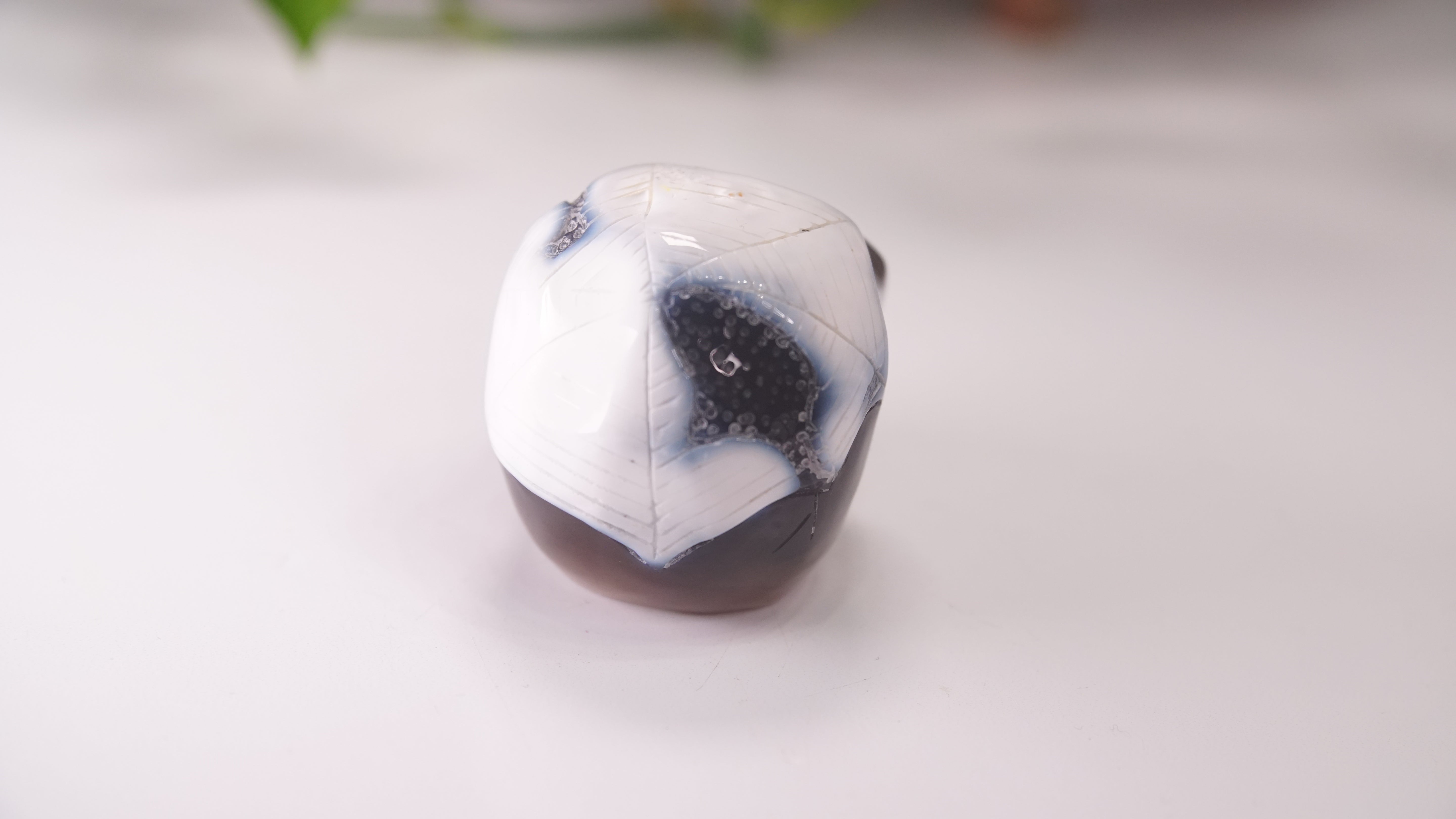 Orca Agate Large Skull Hand Carved Carving
