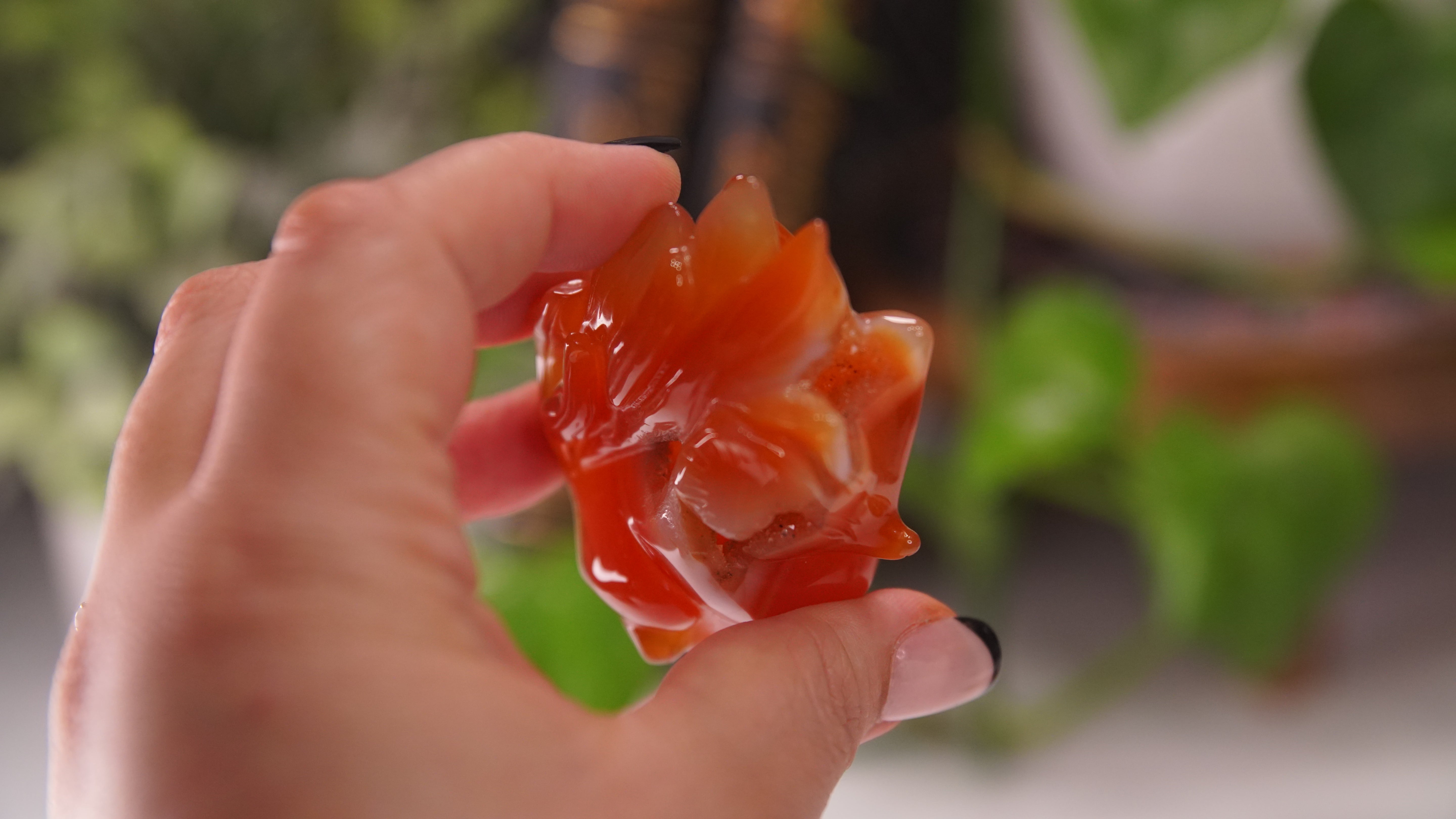 Druzy Carnelian Fox Boutique Carvings | High Quality | US Seller