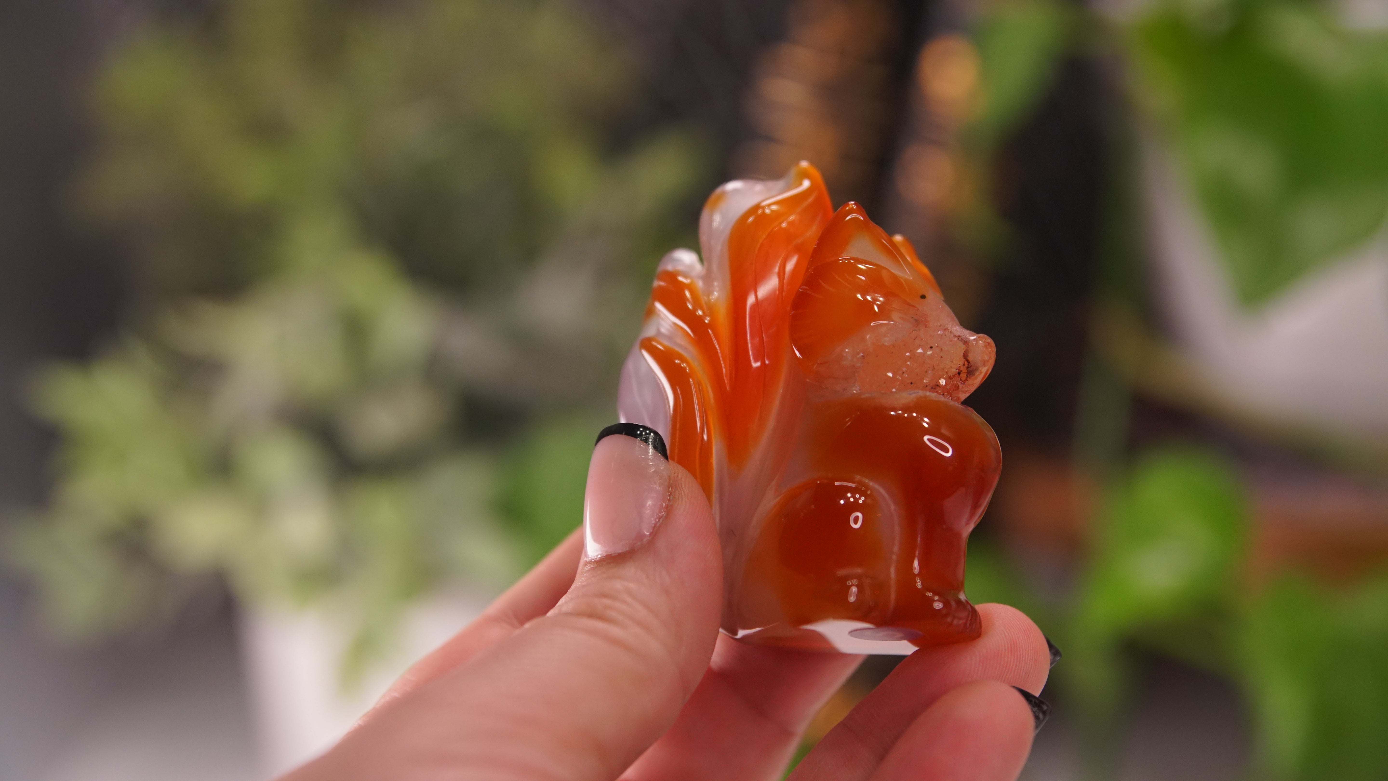 Druzy Carnelian Fox Boutique Carvings | High Quality | US Seller