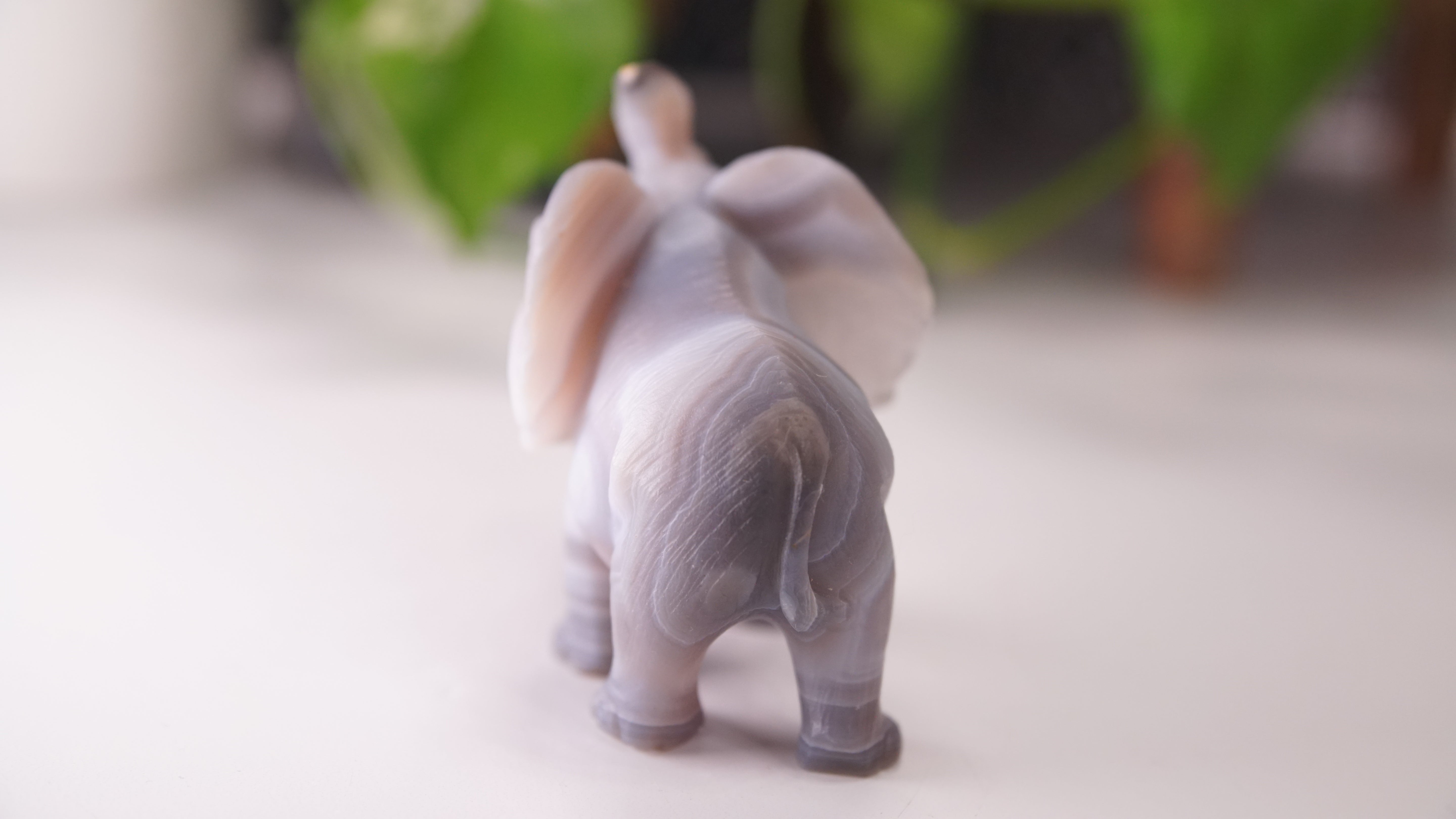 Cute Agate Boutique Elephant Carving | Crystal Carving Statement Piece