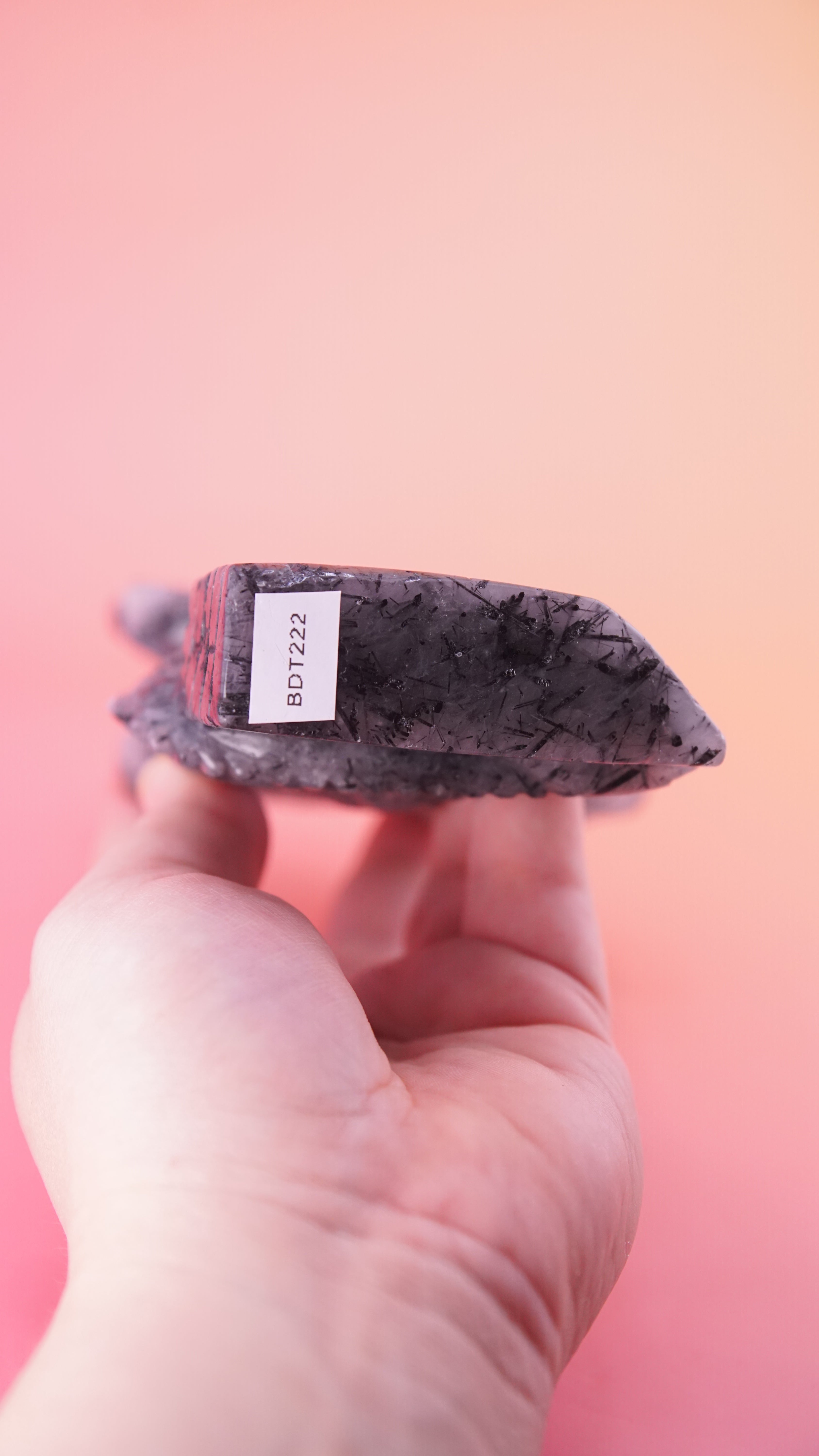 Gorgeous Black Tourmaline In Quartz Dragon With Castle