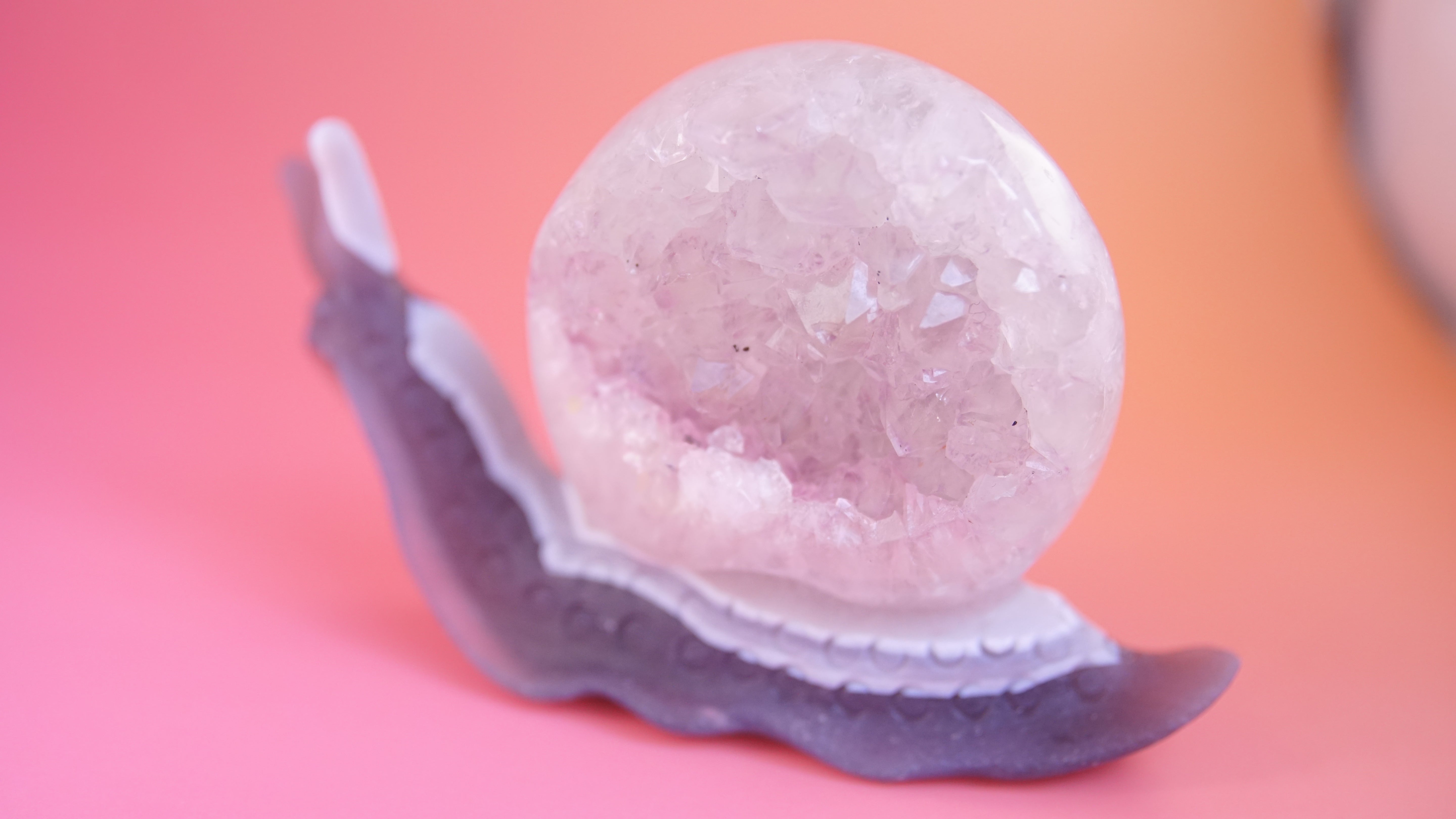 Gorgeous Agate Boutique Snail Carving | Crystal Carving Statement Piece