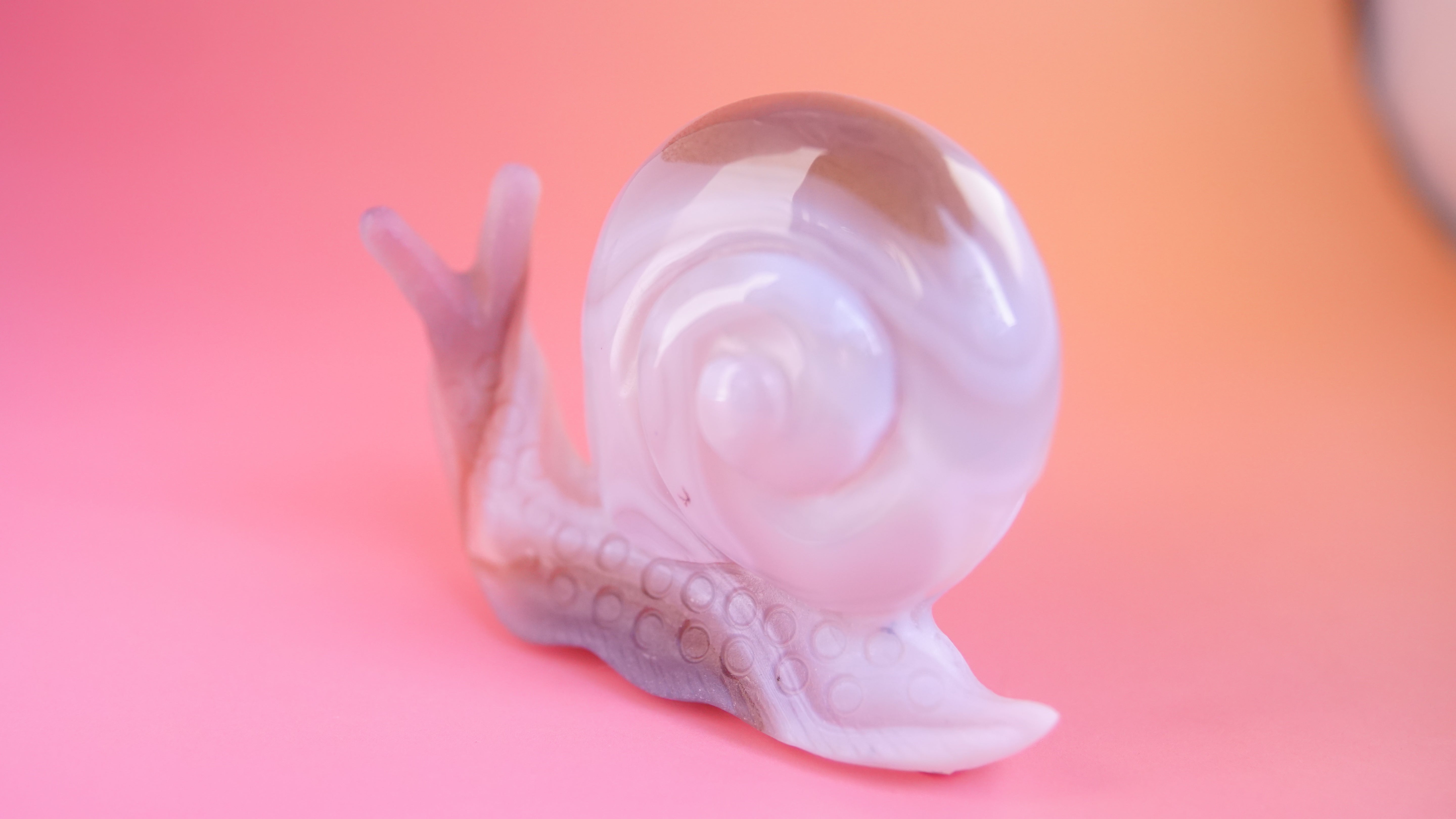 Gorgeous Agate Boutique Snail Carving | Crystal Carving Statement Piece