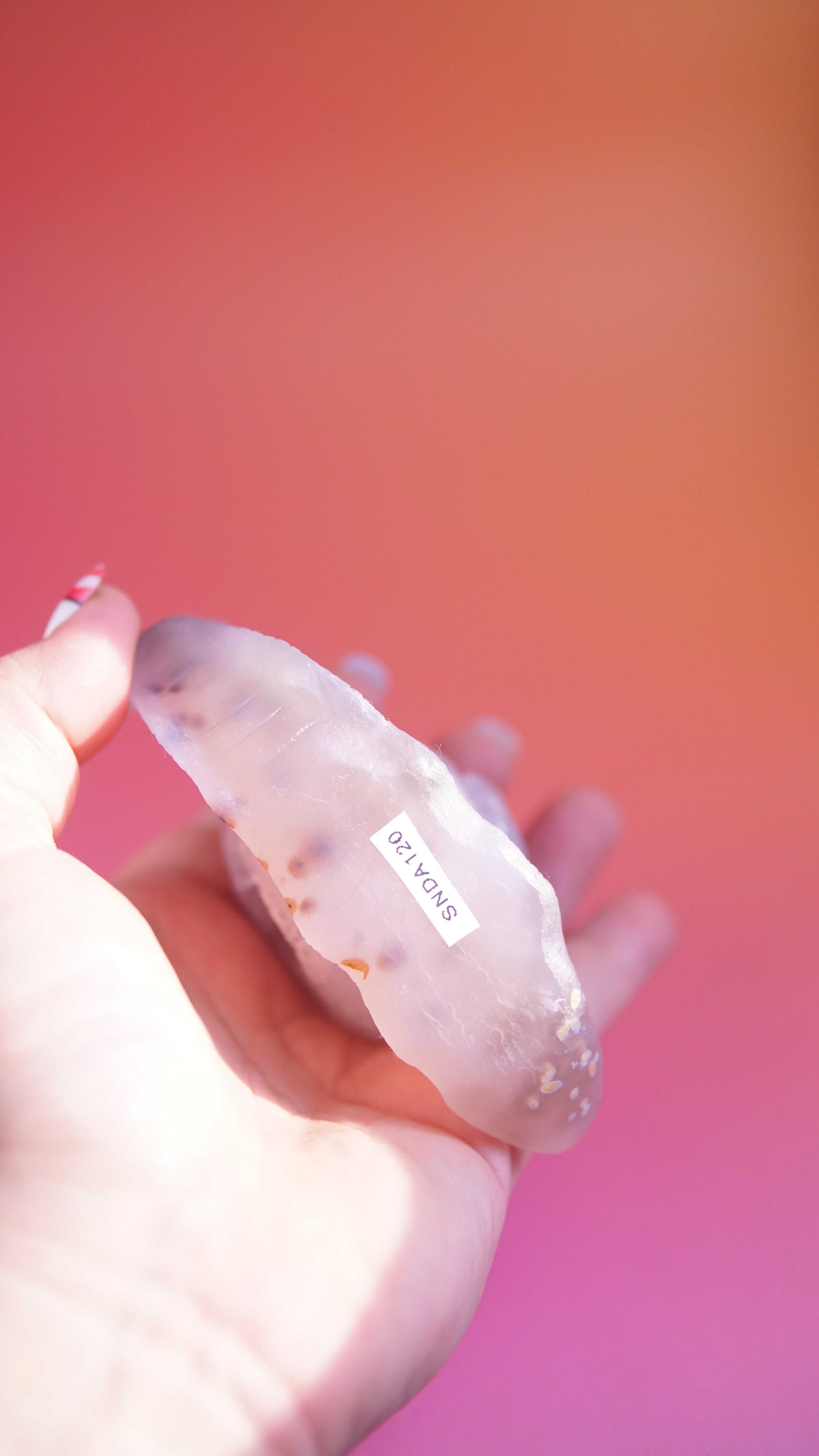 Gorgeous Agate Boutique Snail Carving | Crystal Carving Statement Piece