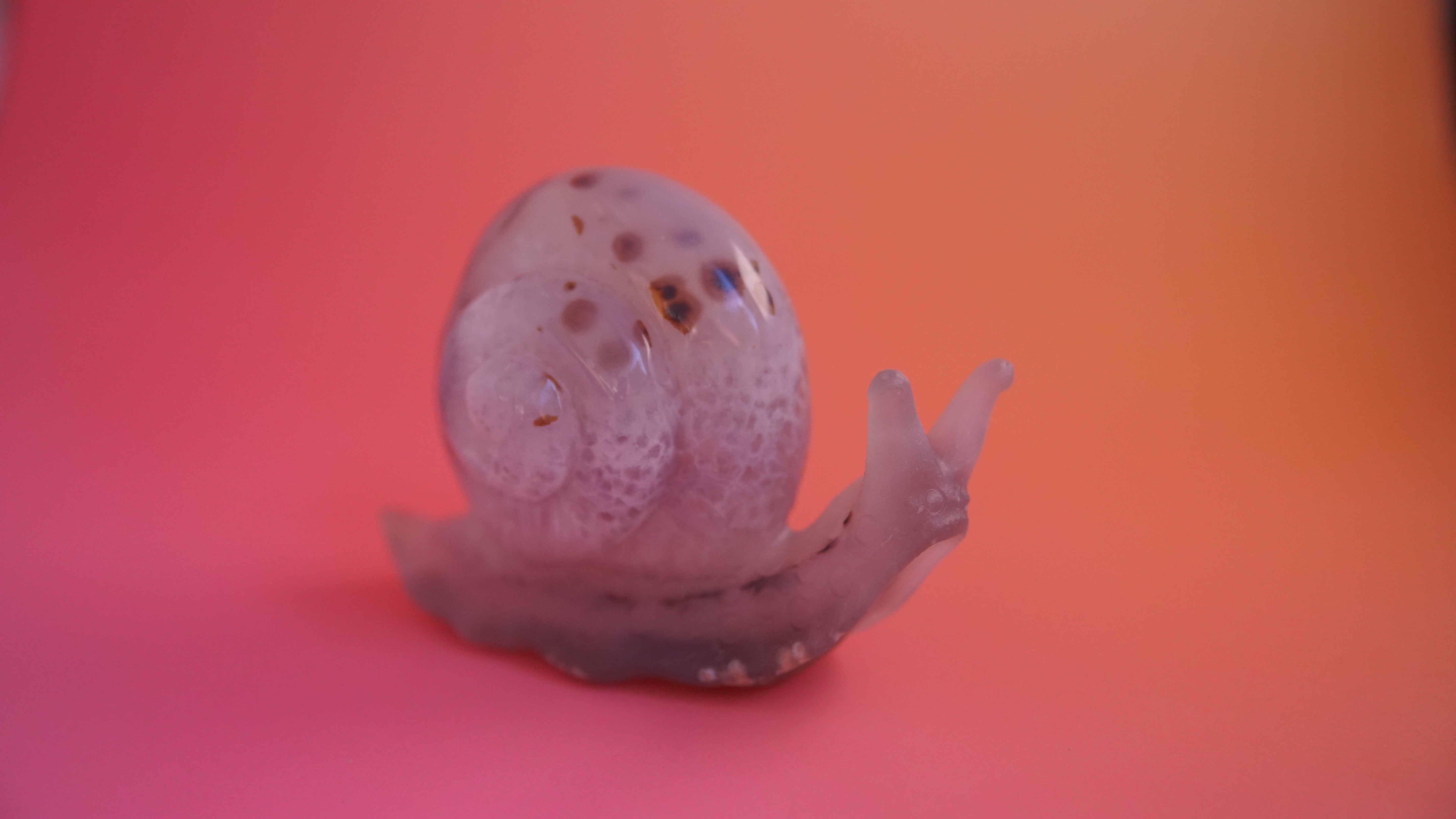 Gorgeous Agate Boutique Snail Carving | Crystal Carving Statement Piece