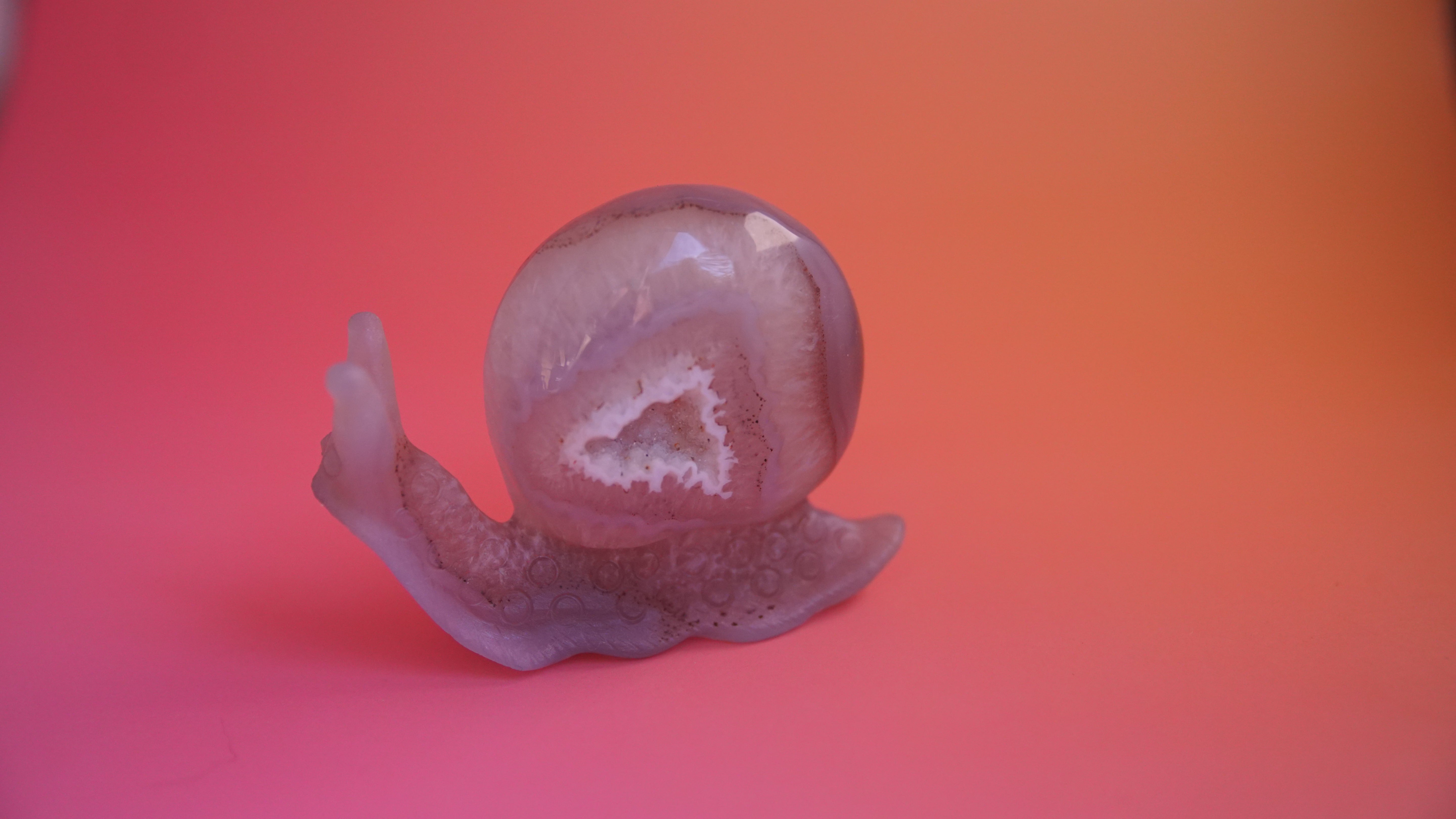 Gorgeous Agate Boutique Snail Carving | Crystal Carving Statement Piece