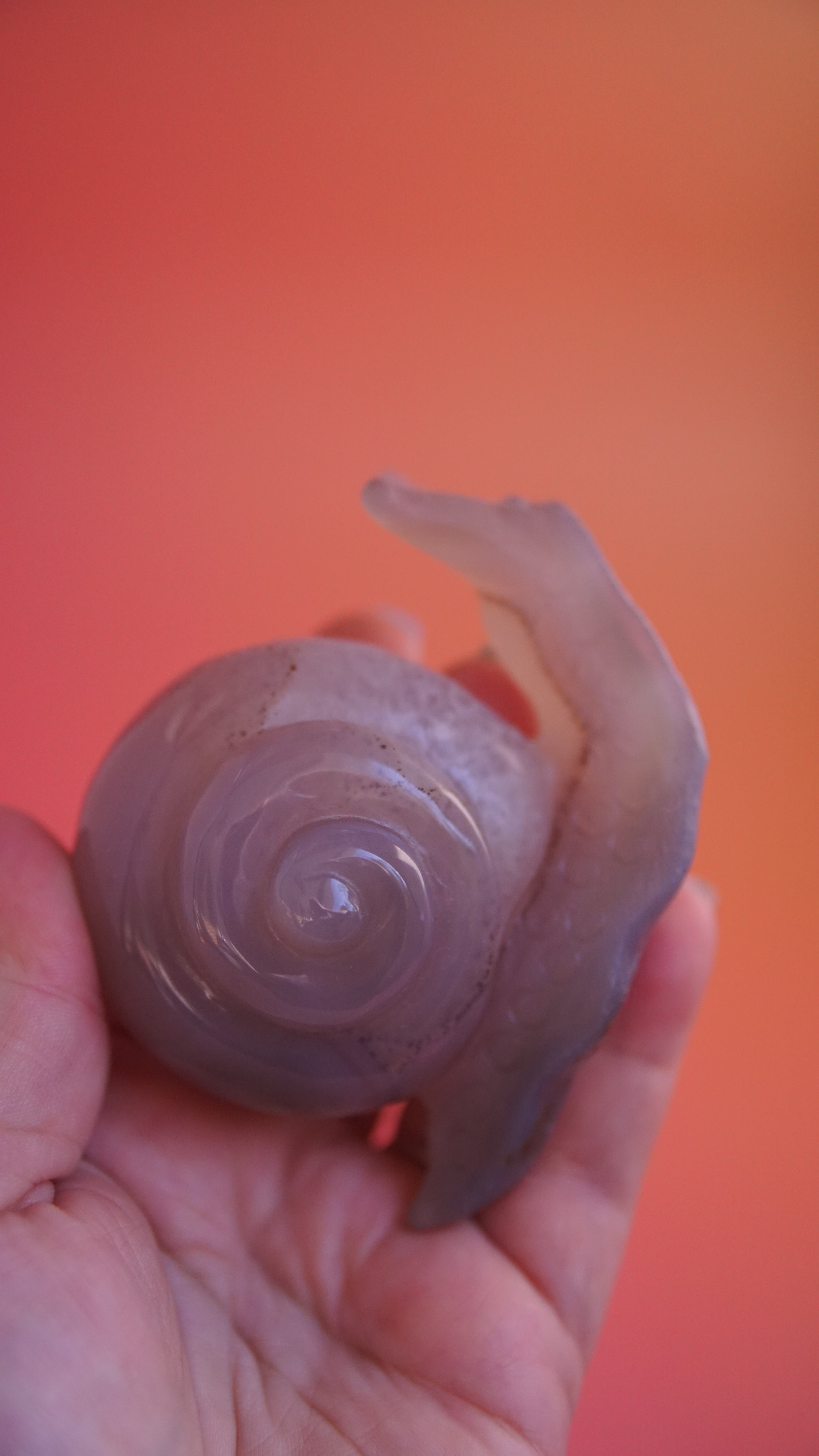 Gorgeous Agate Boutique Snail Carving | Crystal Carving Statement Piece