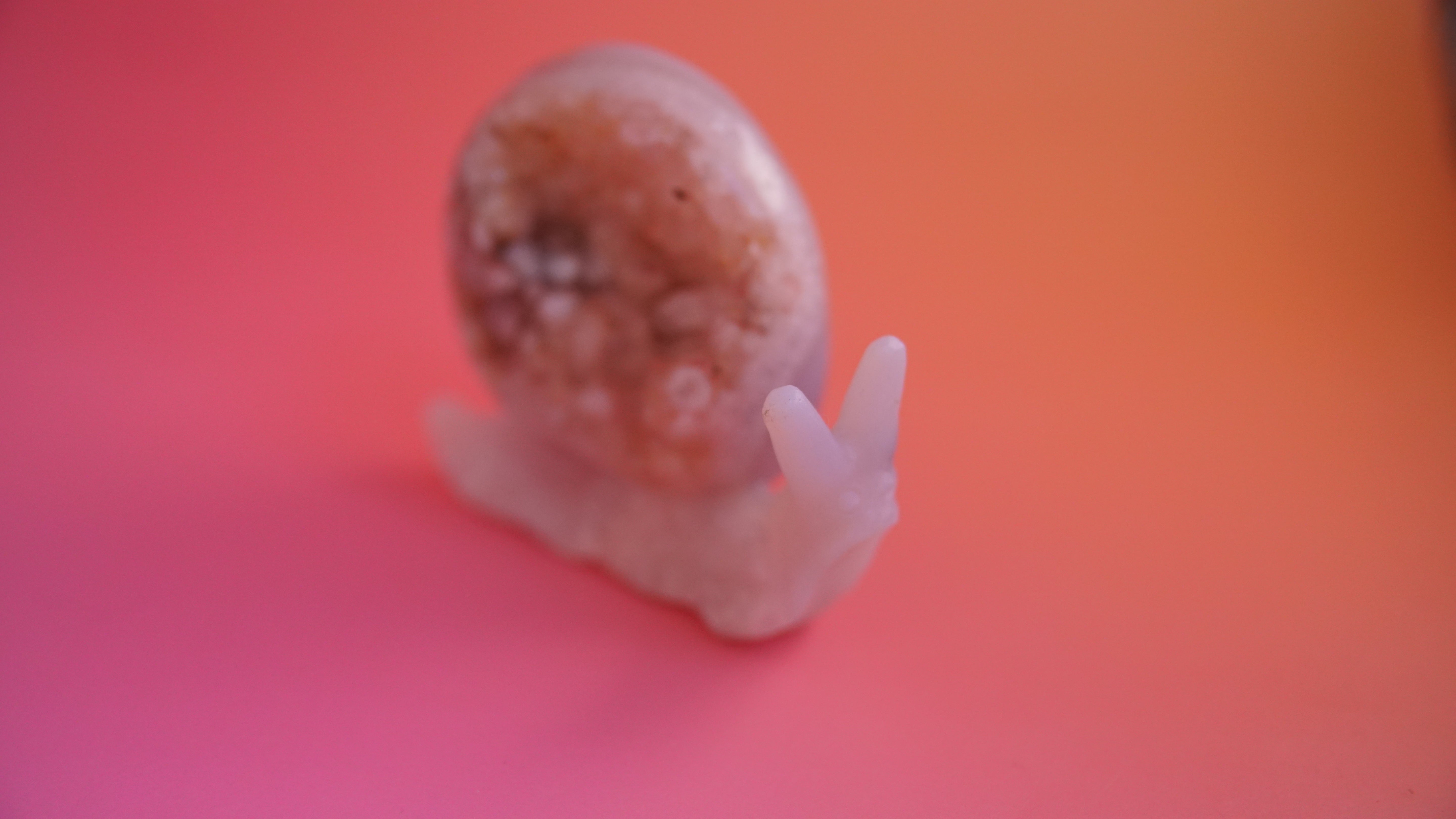 Gorgeous Agate Boutique Snail Carving | Crystal Carving Statement Piece