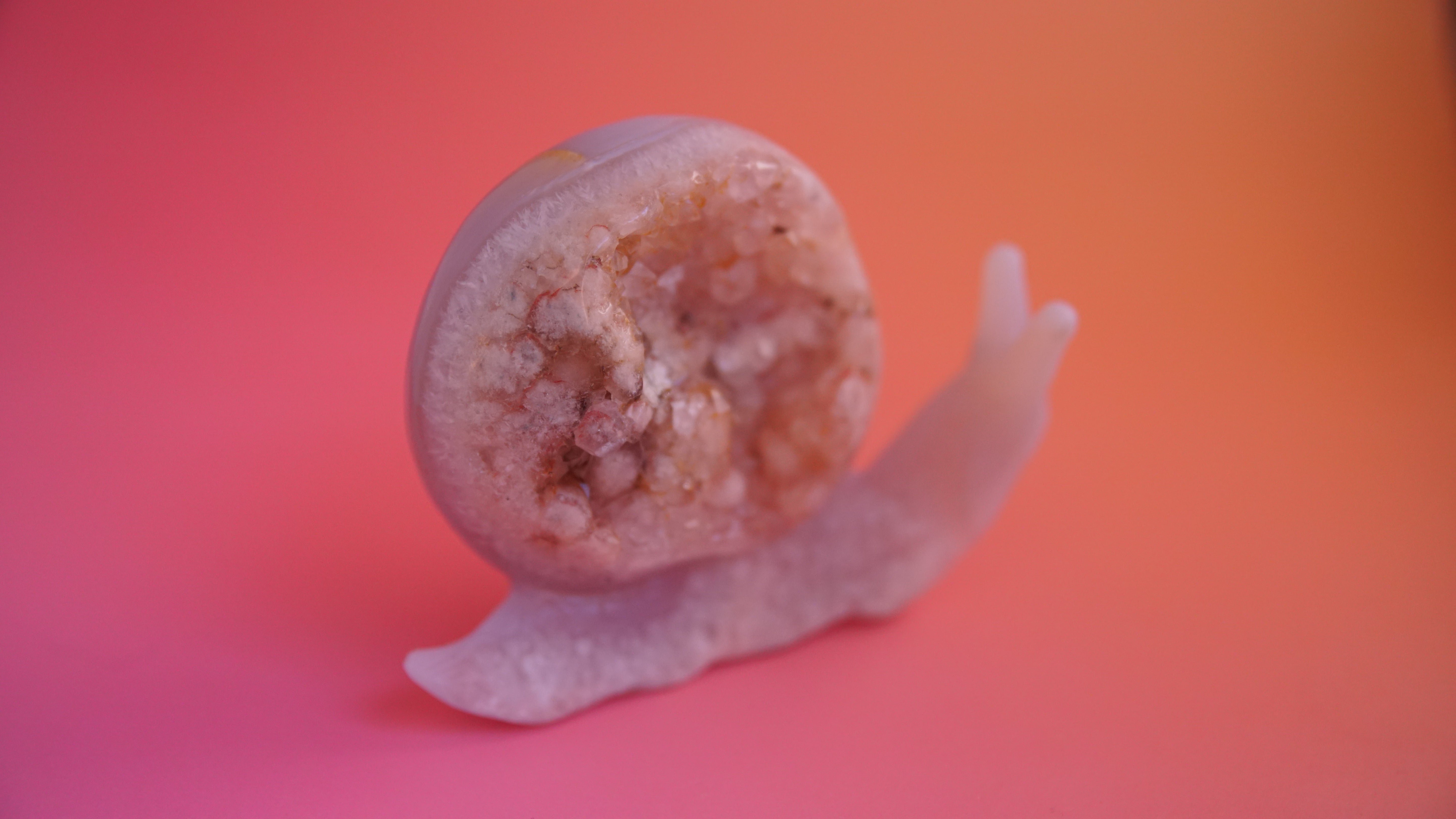 Gorgeous Agate Boutique Snail Carving | Crystal Carving Statement Piece