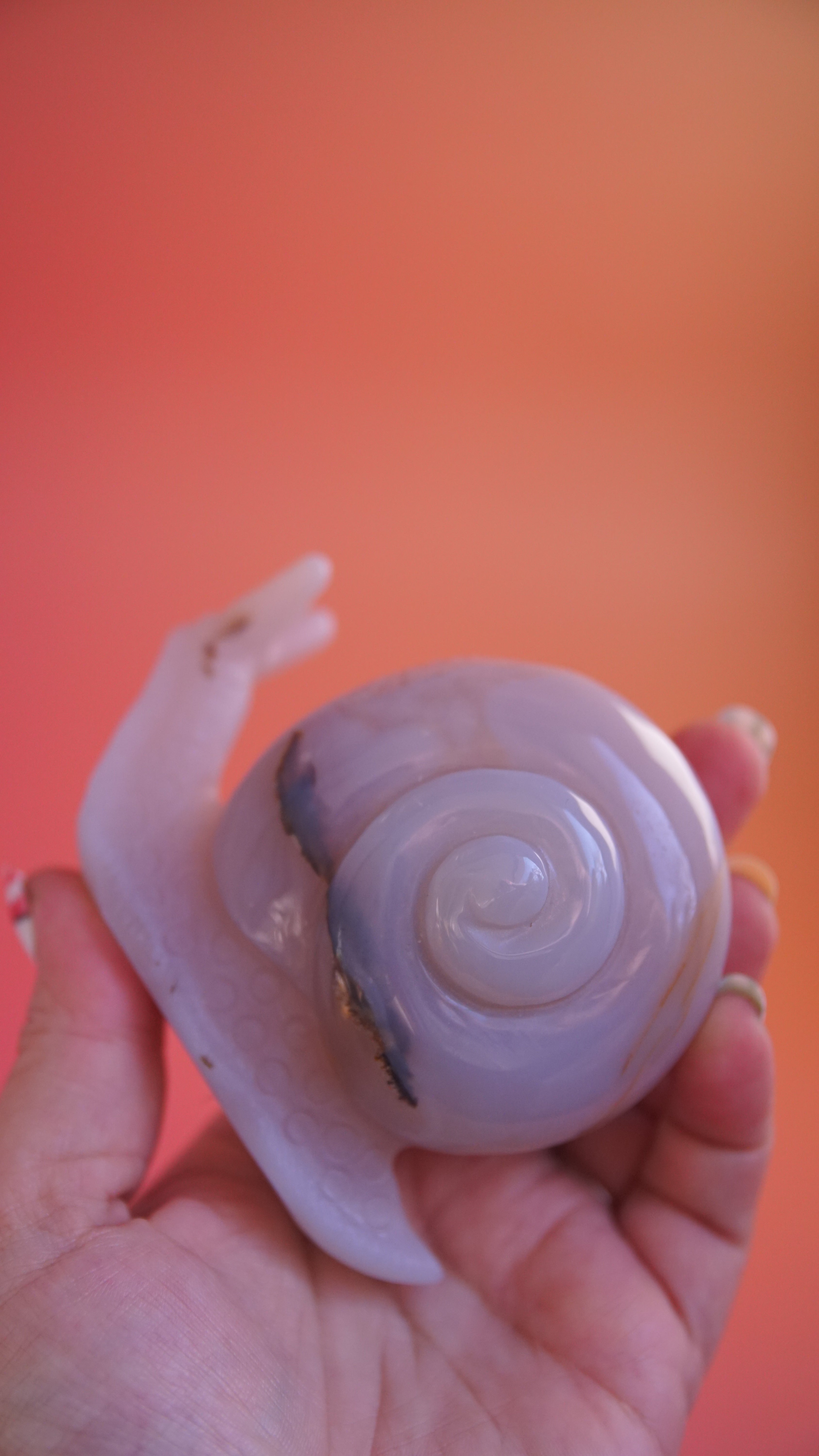 Gorgeous Agate Boutique Snail Carving | Crystal Carving Statement Piece