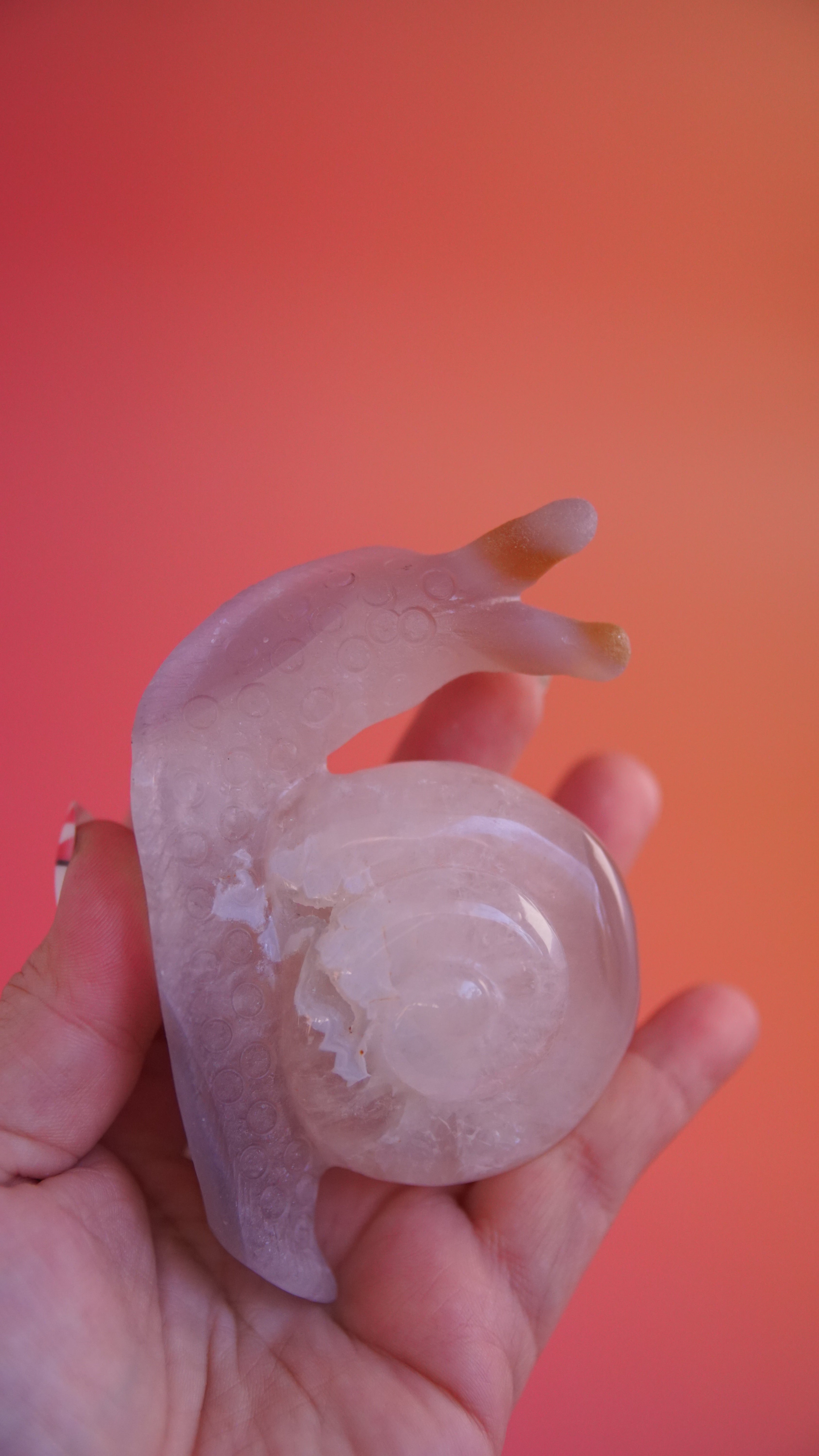 Gorgeous Agate Boutique Snail Carving | Crystal Carving Statement Piece