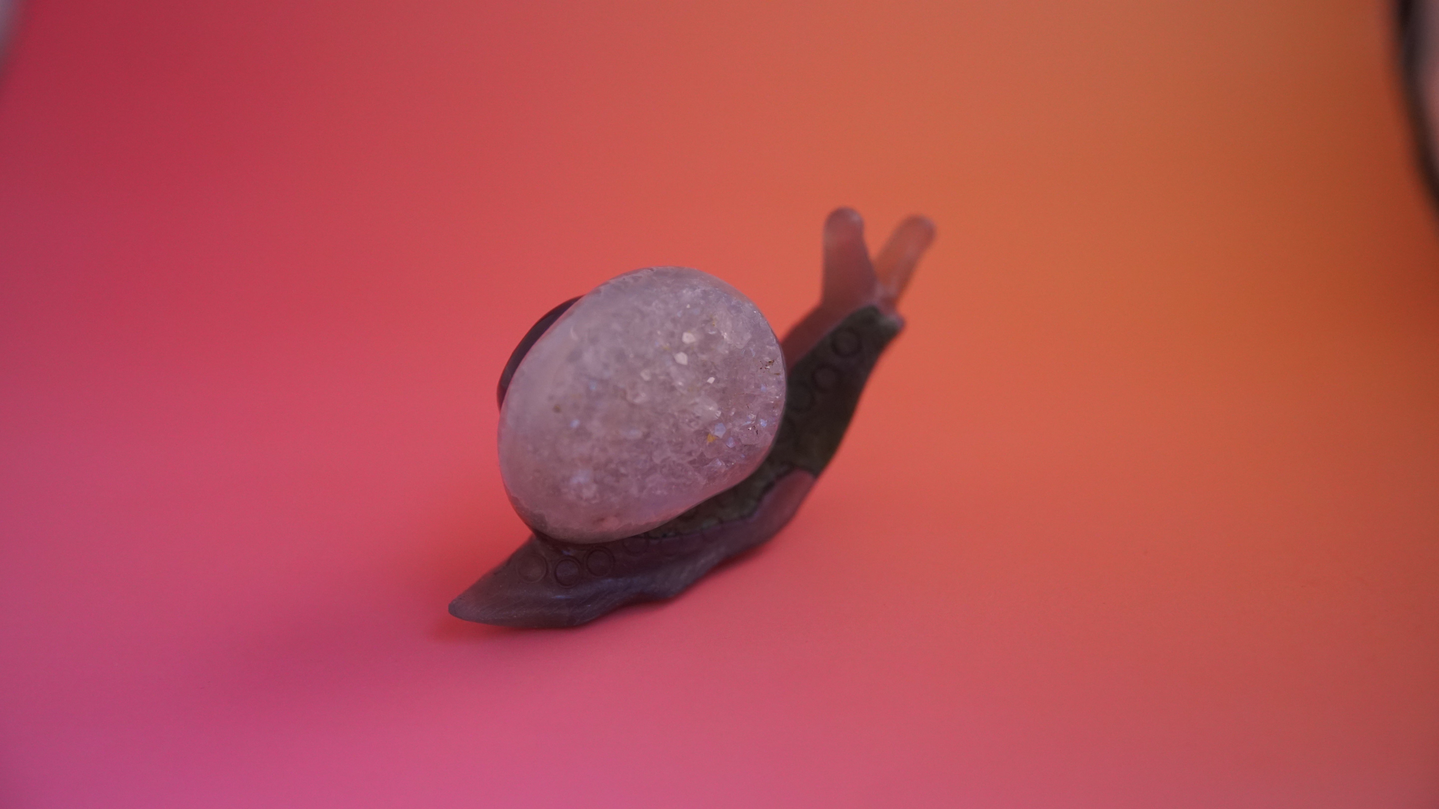 Gorgeous Agate Boutique Snail Carving | Crystal Carving Statement Piece