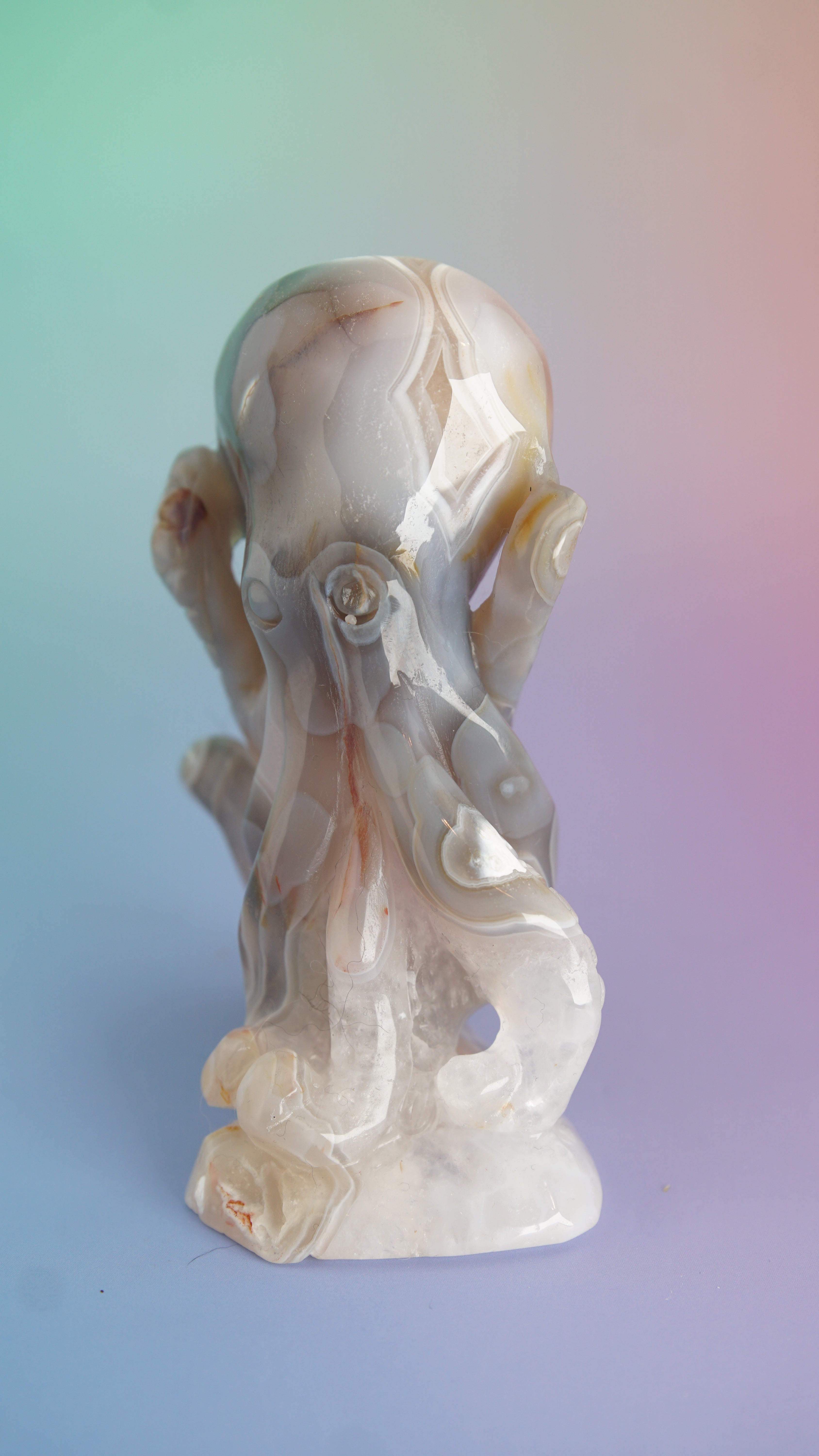 Druzy Orca Agate With Amethyst Octopus Carving