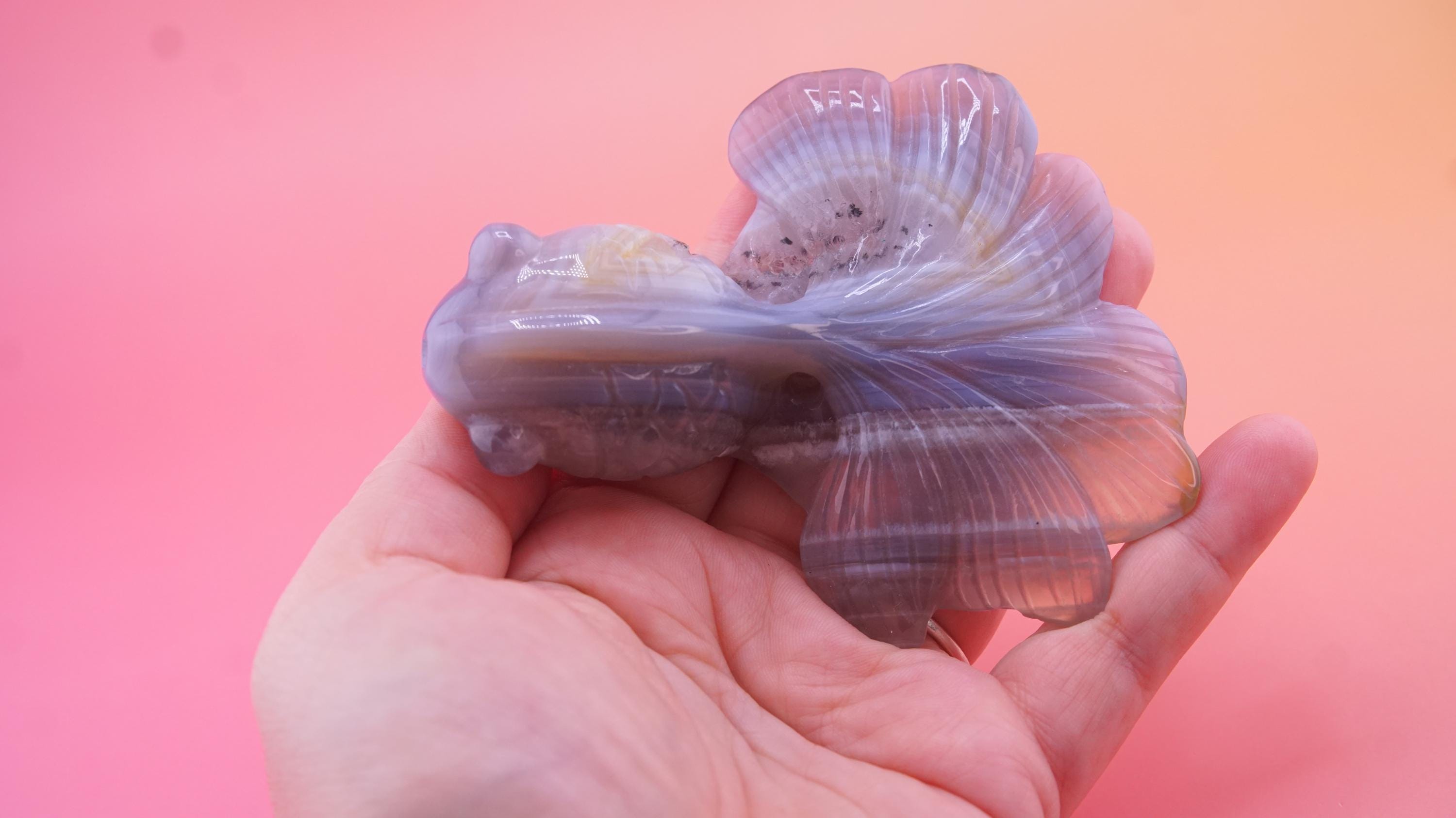 Hand Carved Banded Agate Fish | Boutique Quality Carving | Crystal Decor