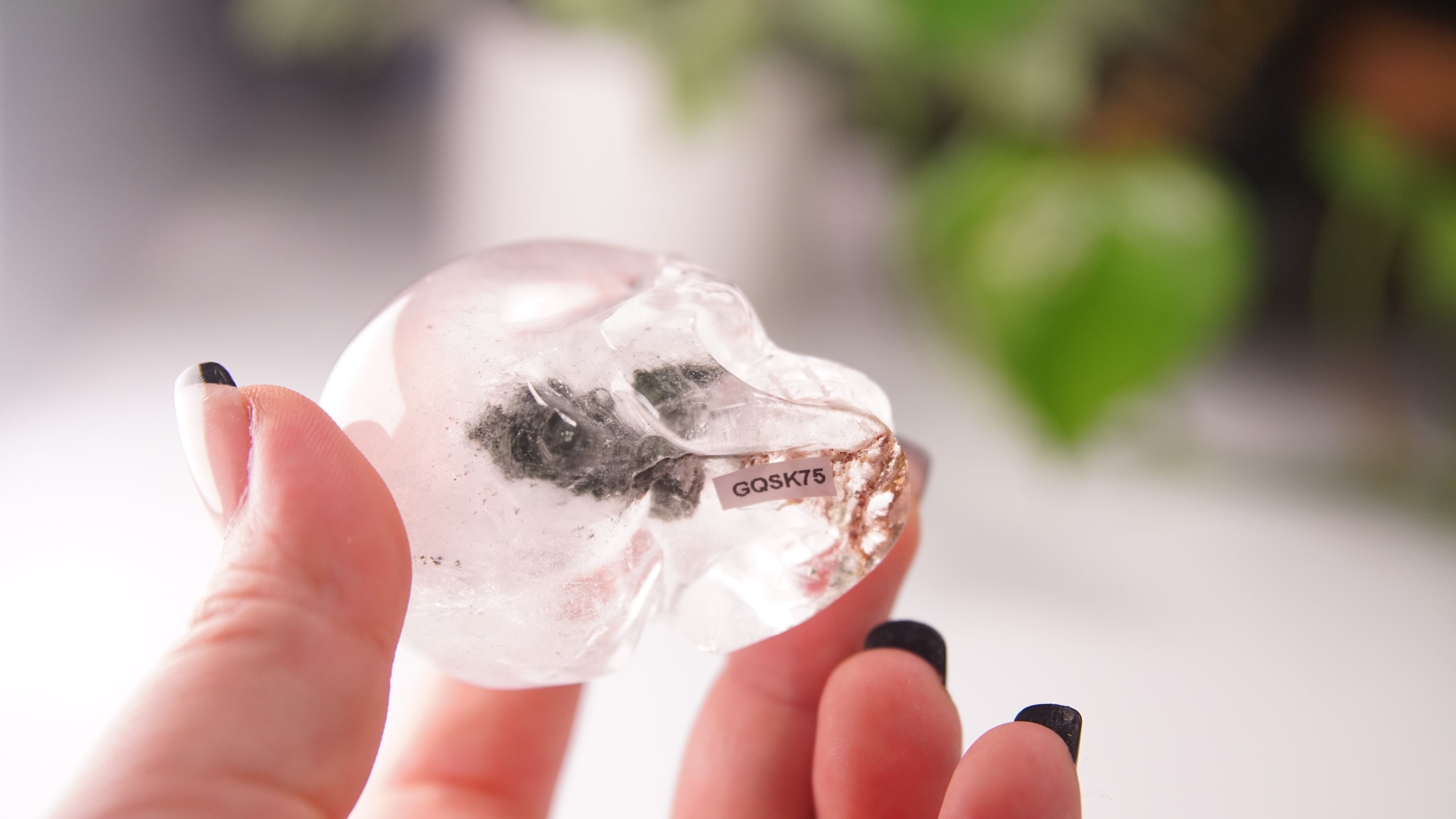 Garden Quartz Skulls Lodolite With Inclusions Crystal Carving (Large)