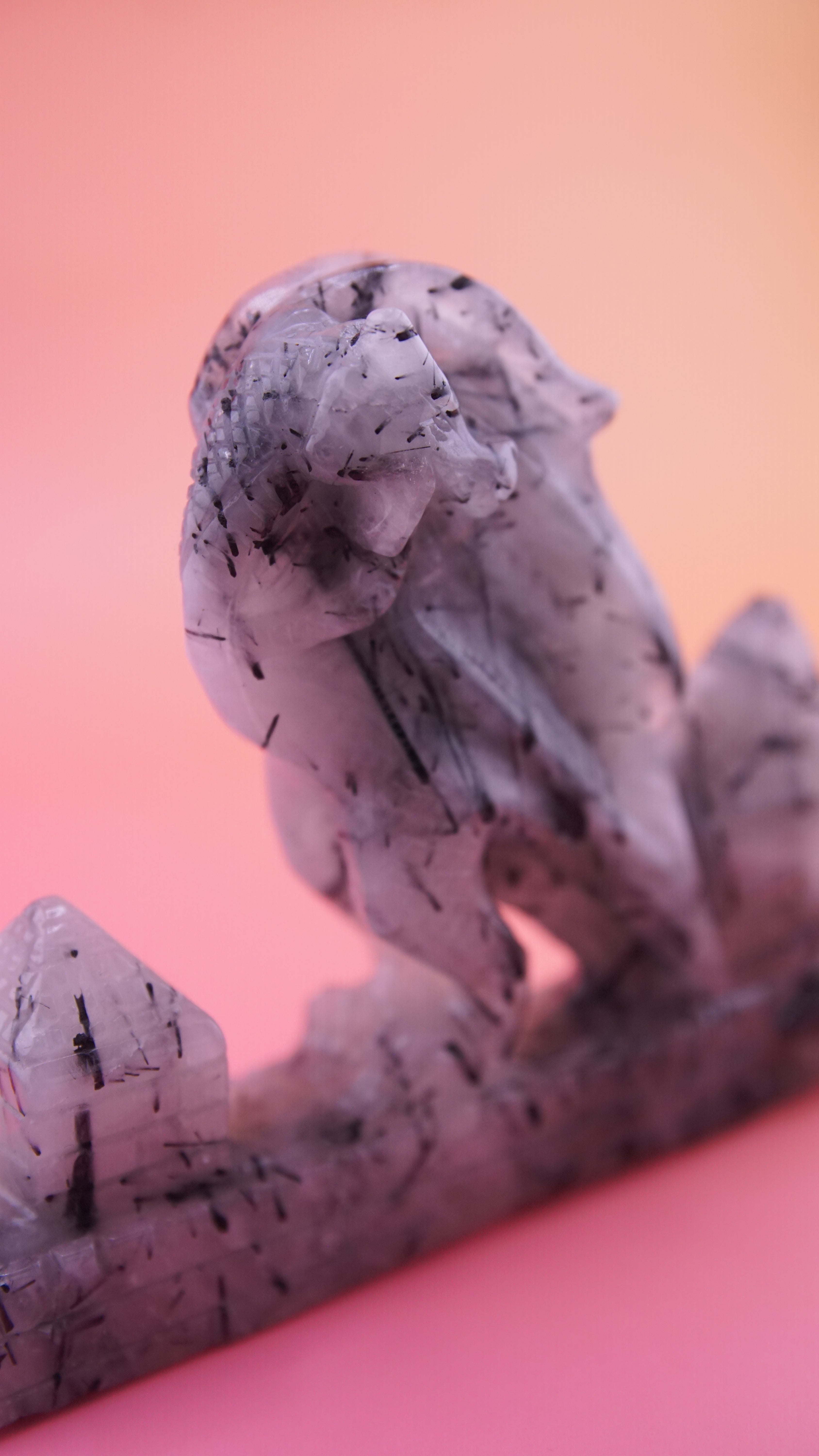 Gorgeous Black Tourmaline In Quartz Dragon With Castle