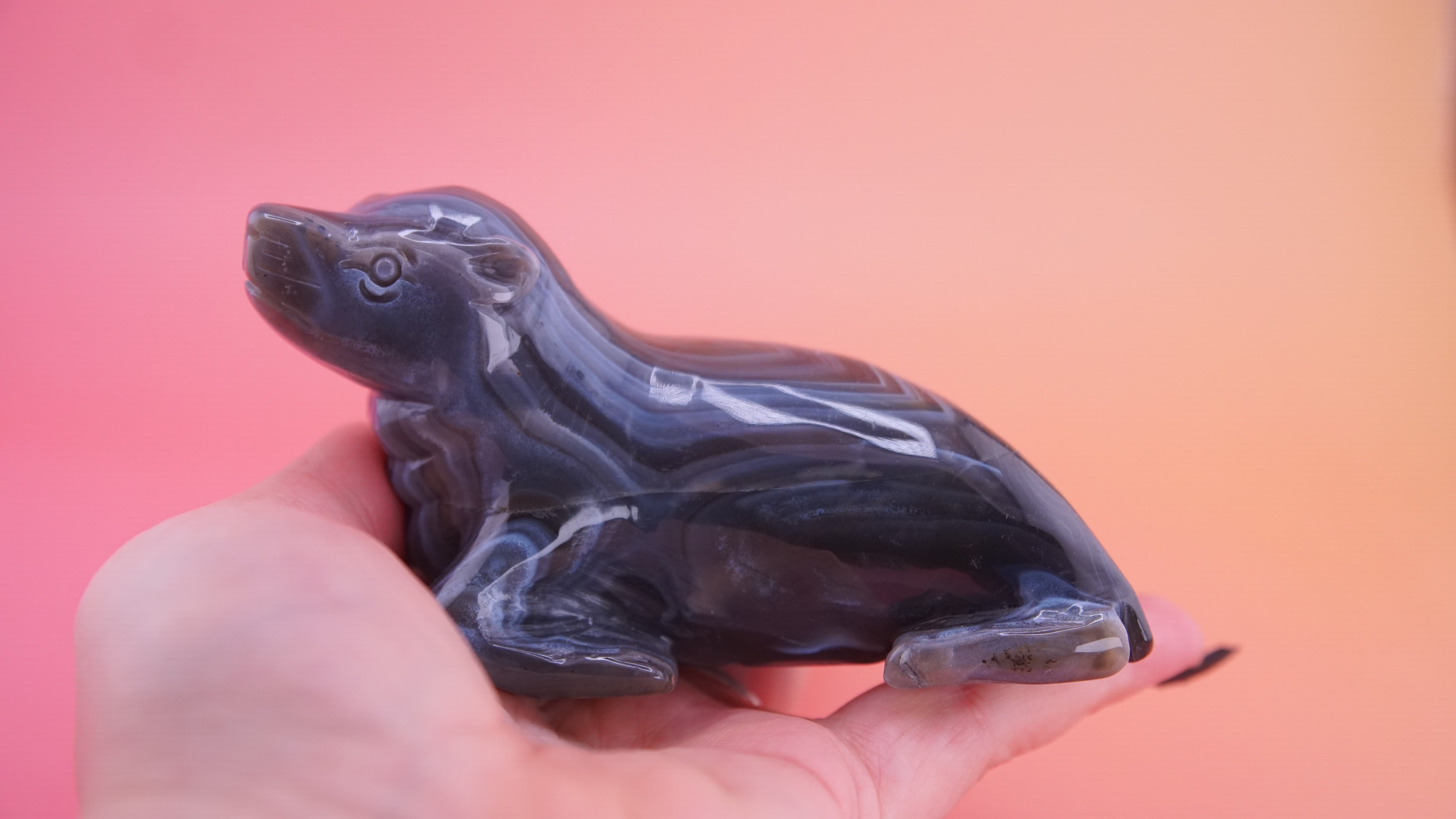 Hand Carved Banded Seal | Boutique Quality Carving | Crystal Decor
