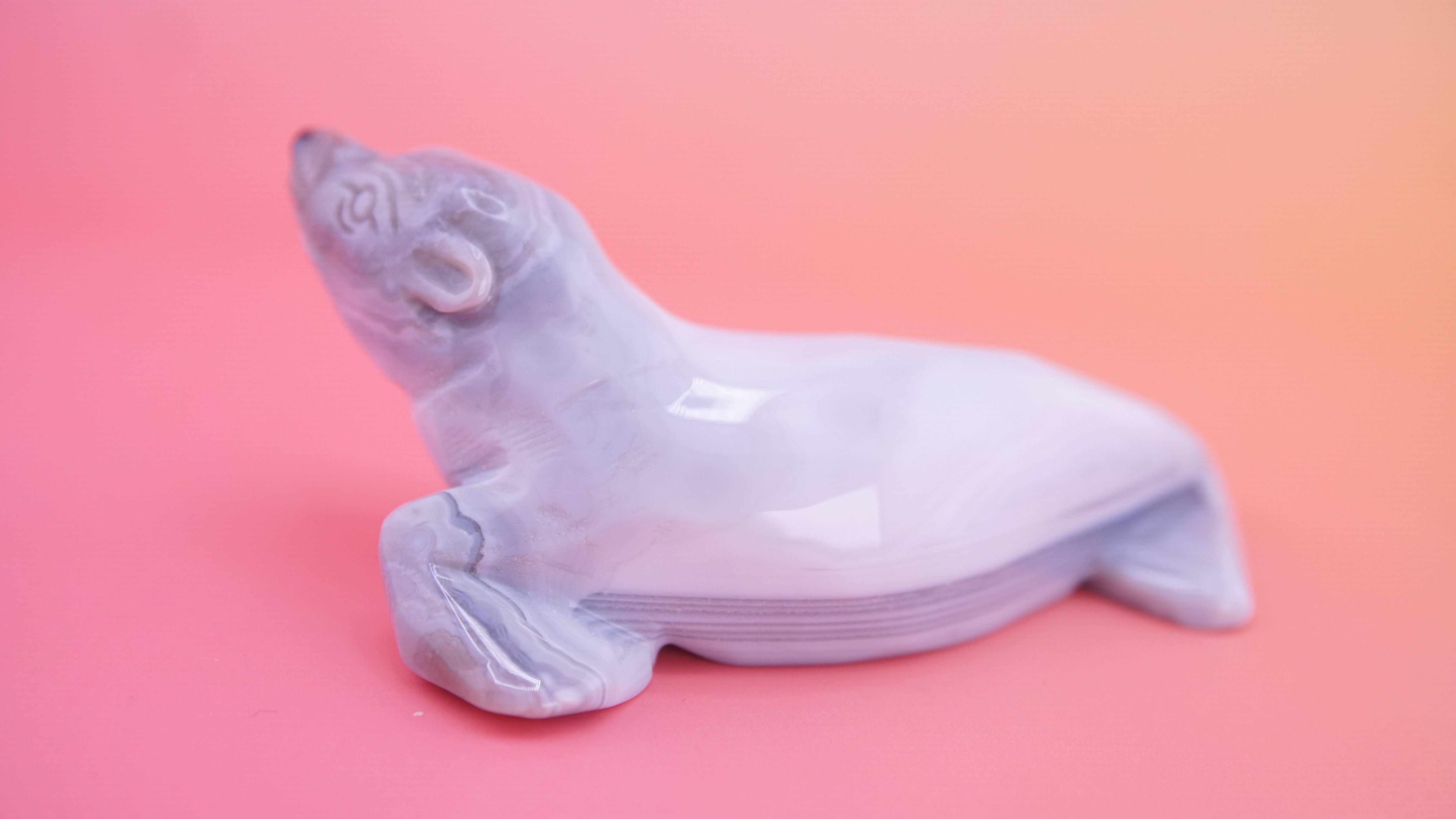 Hand Carved Banded Seal | Boutique Quality Carving | Crystal Decor
