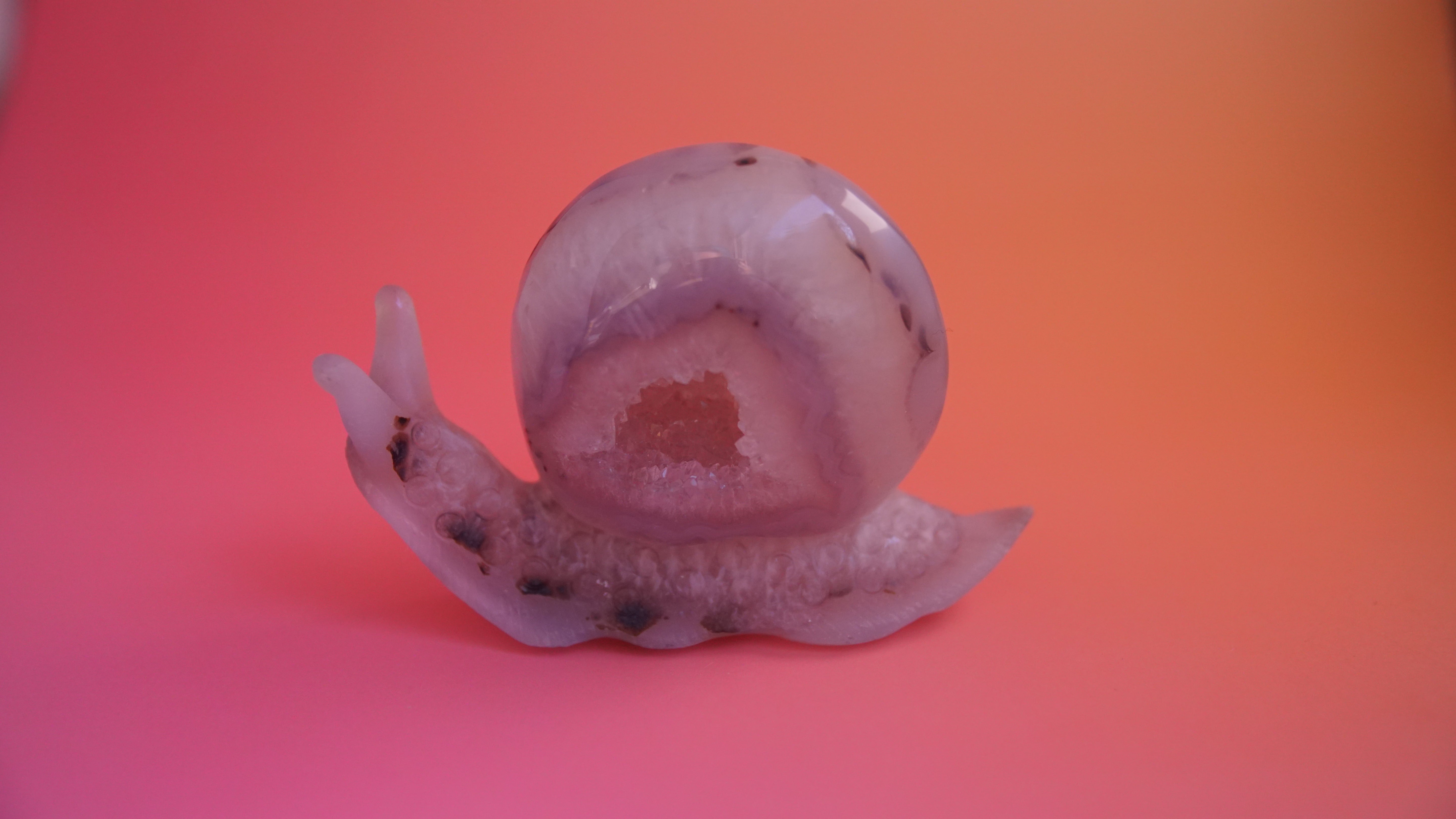 Gorgeous Agate Boutique Snail Carving | Crystal Carving Statement Piece