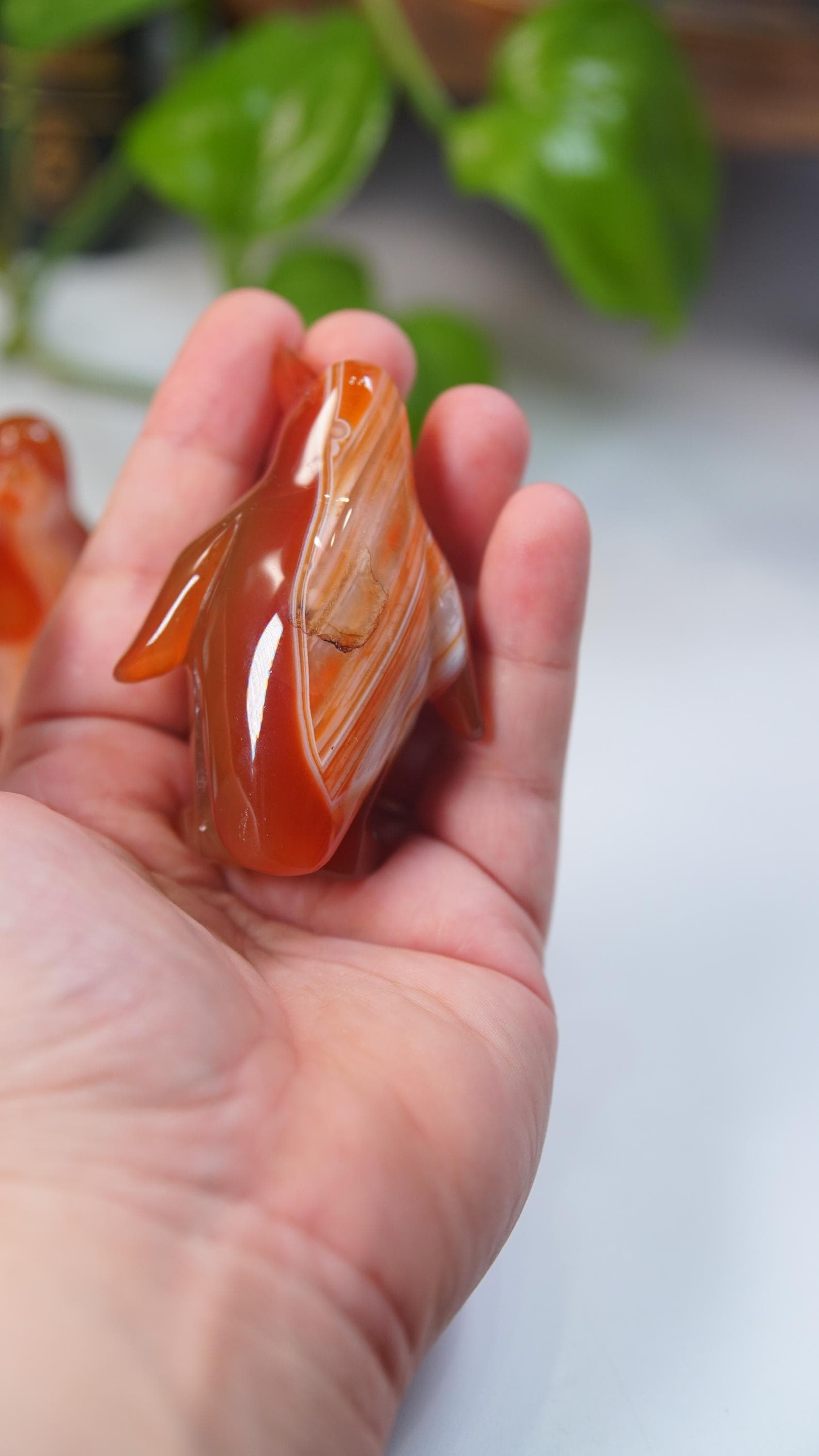 Carnelian Penguin Boutique Carvings | High Quality | US Seller