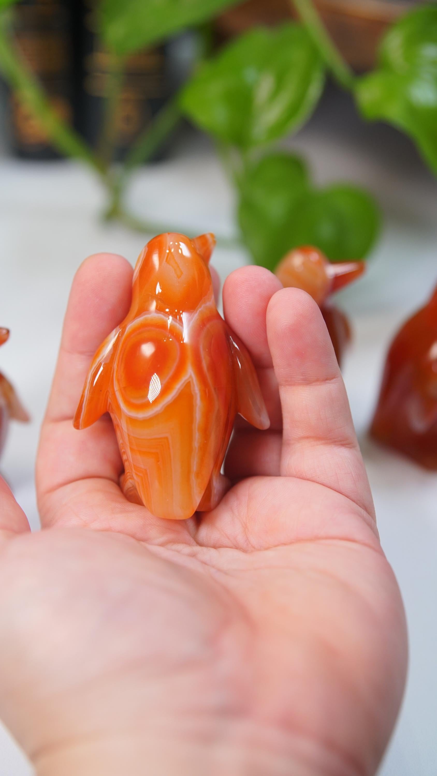 Carnelian Penguin Boutique Carvings | High Quality | US Seller