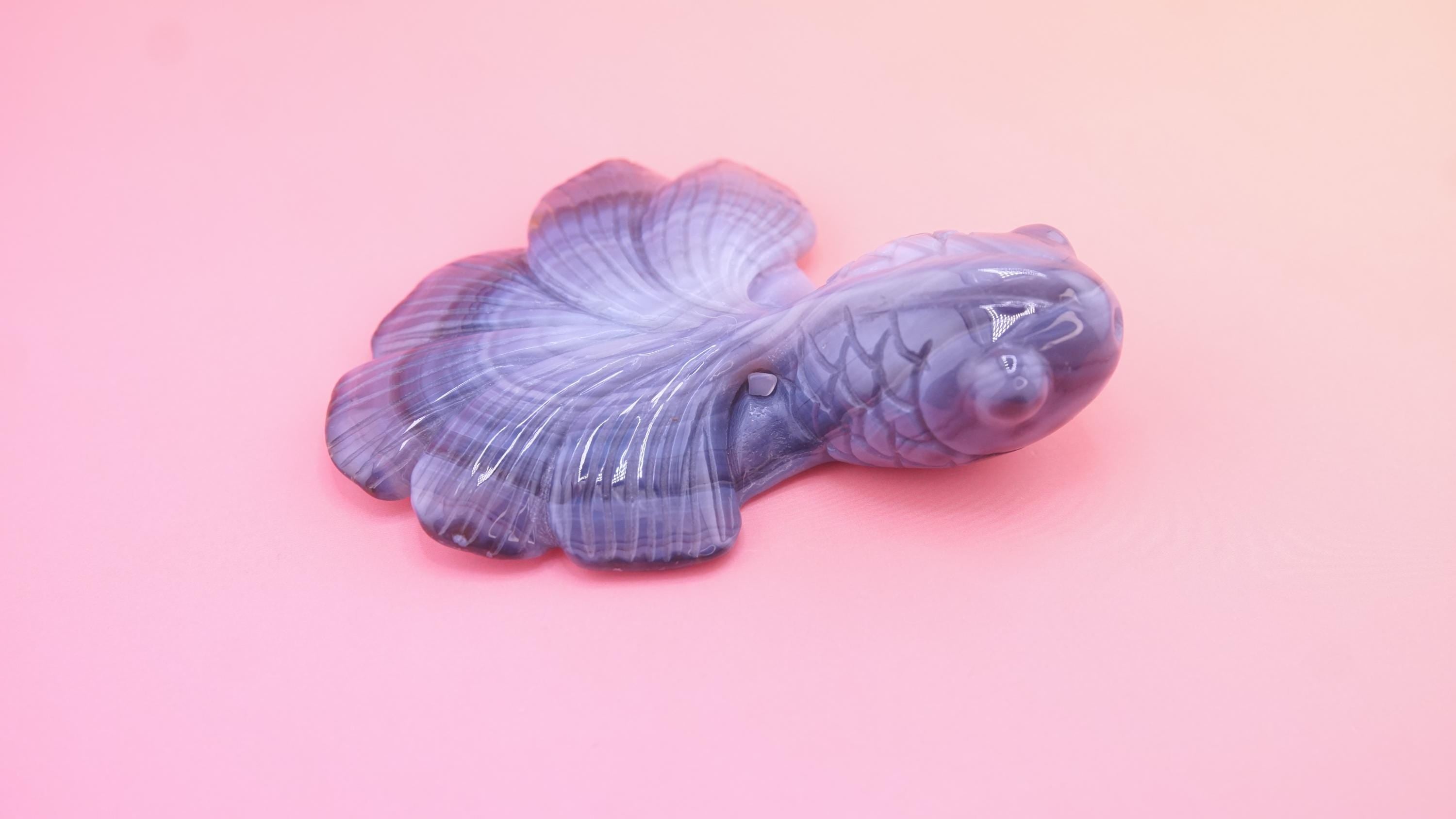 Hand Carved Banded Agate Fish | Boutique Quality Carving | Crystal Decor