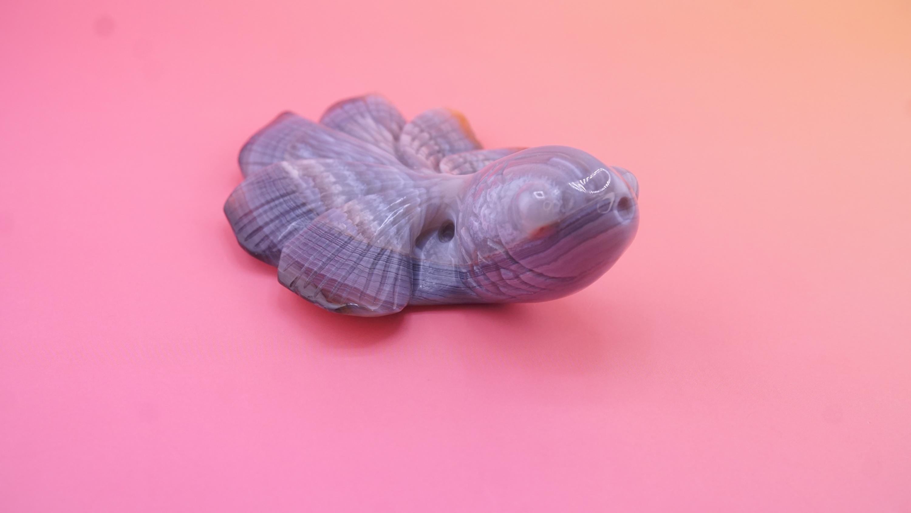 Hand Carved Banded Agate Fish | Boutique Quality Carving | Crystal Decor